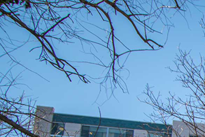 8600 Apartments Building 01