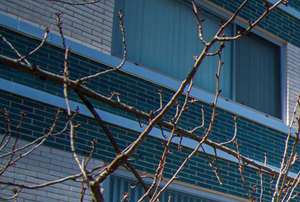 8600 Apartments Controlled Access 01