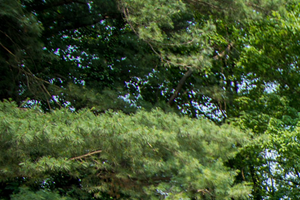 8600 Apartments Picnic Area