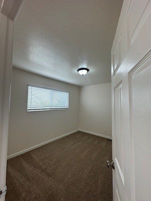 A room with a carpeted floor, a window with blinds, and a white door.