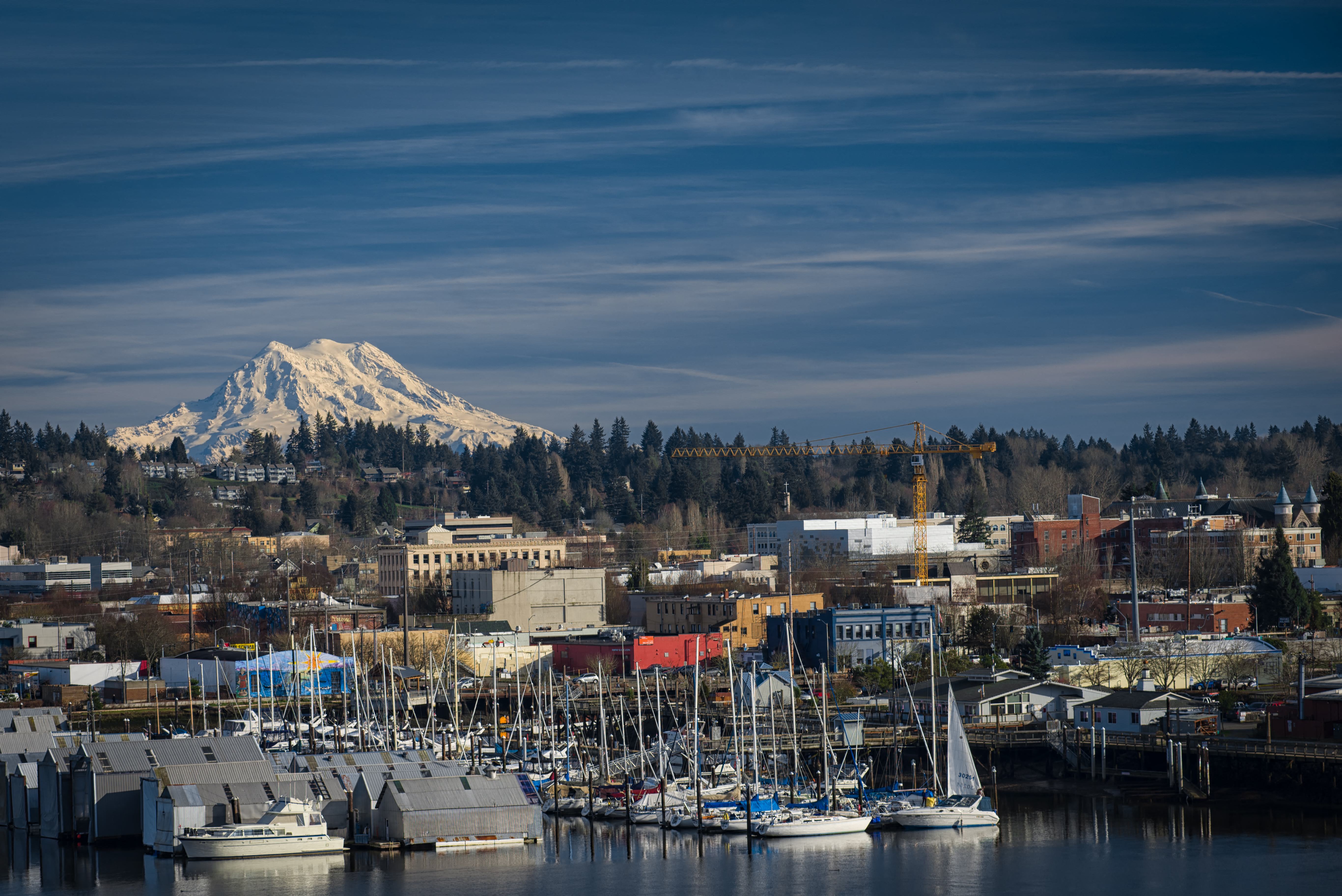 view of harbor and Mt. Rainier  at Jefferson Flats, Tacoma