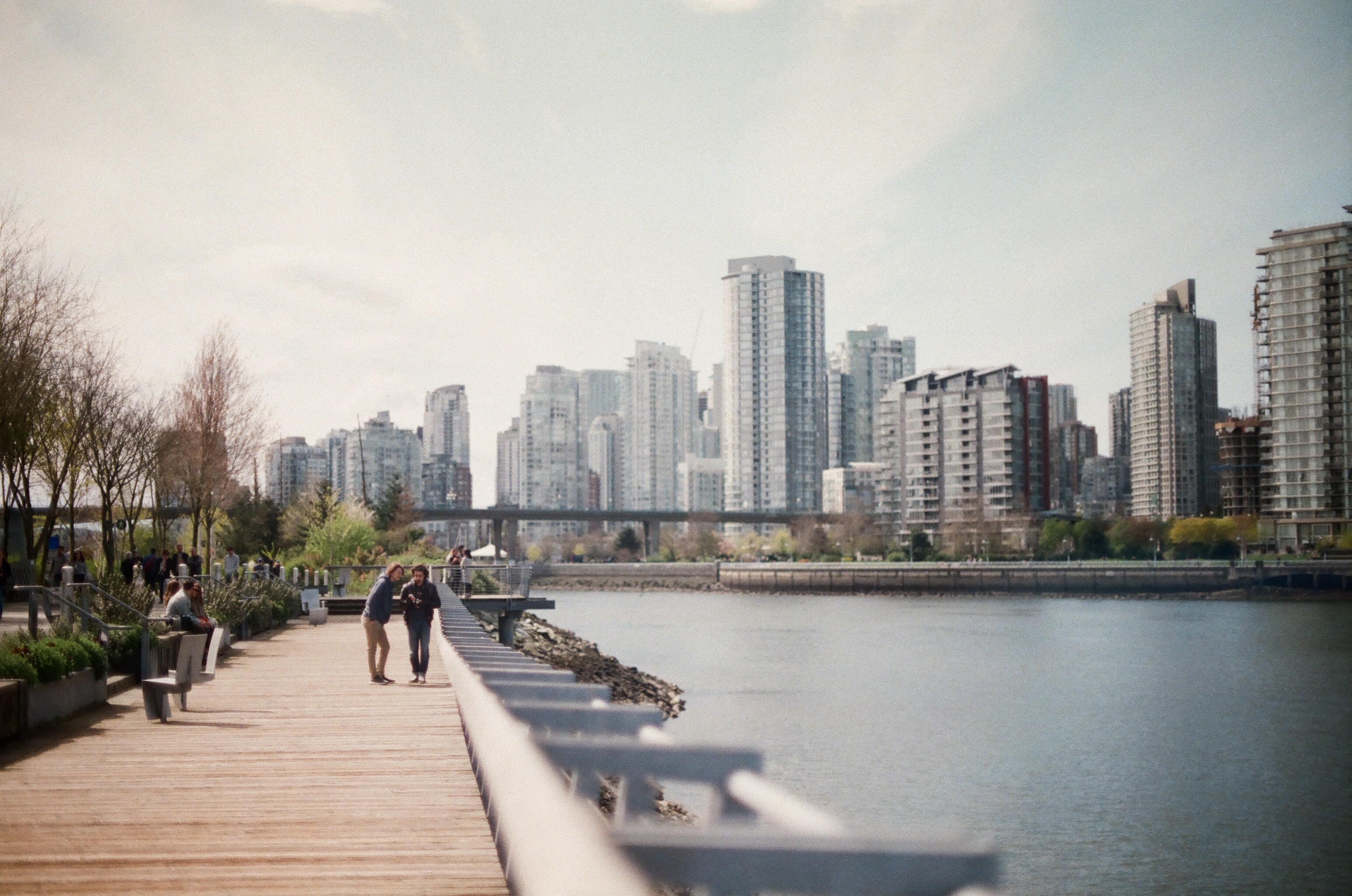 View of Vancouver skyline from across the water.