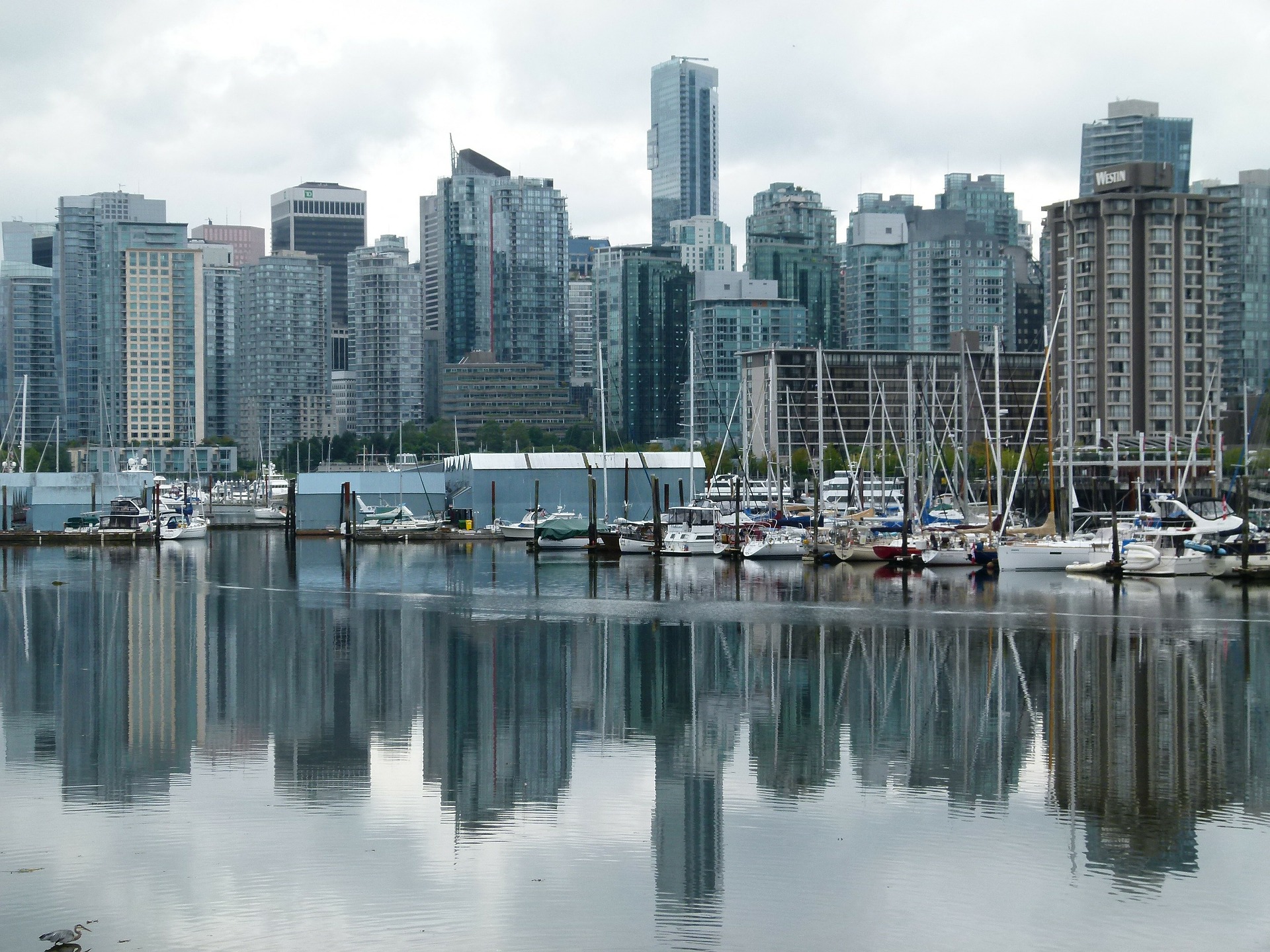 Vancouver skyline from across the water.