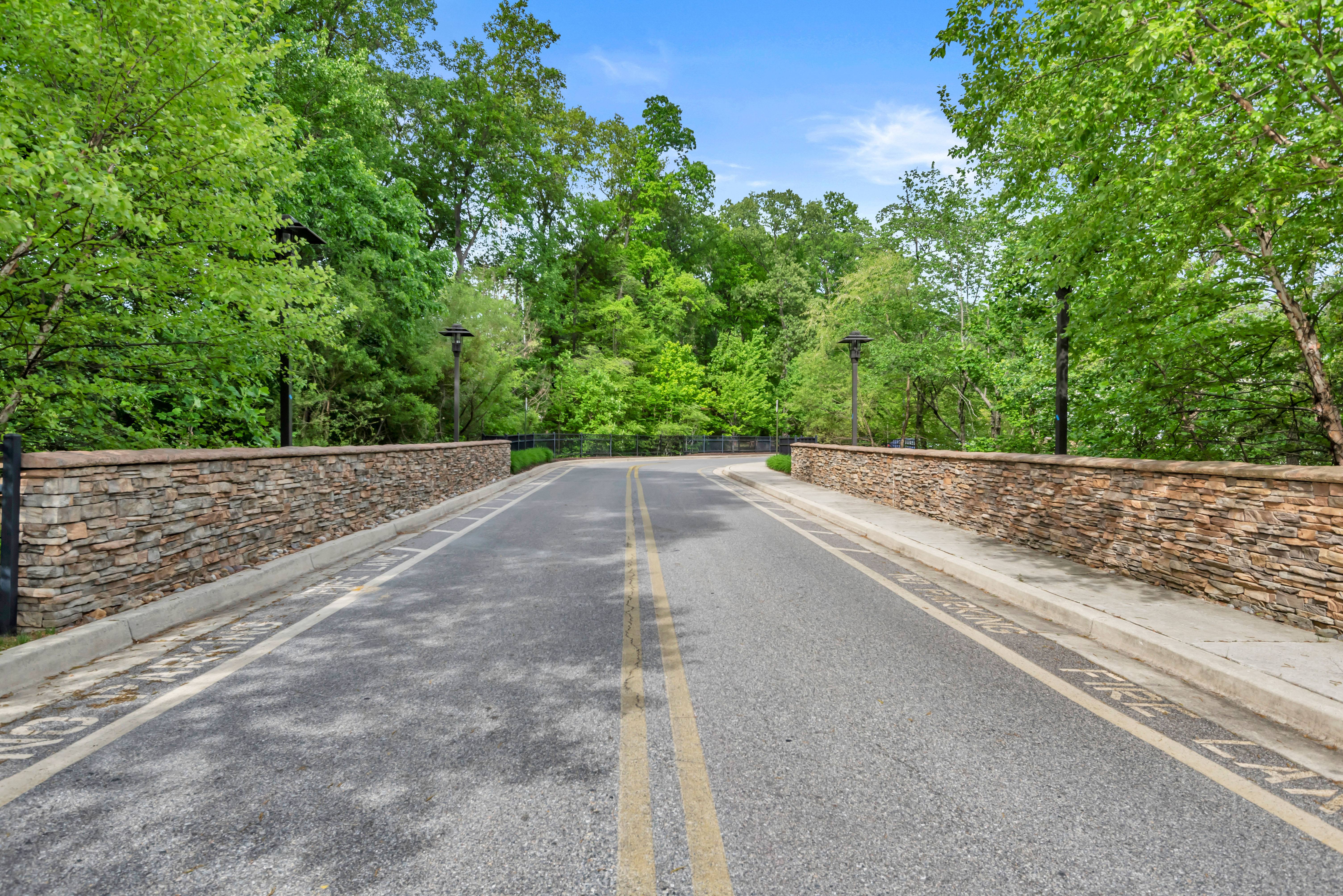A road with a yellow line in the middle and trees on both sides at Spring Arbor of Severna Park