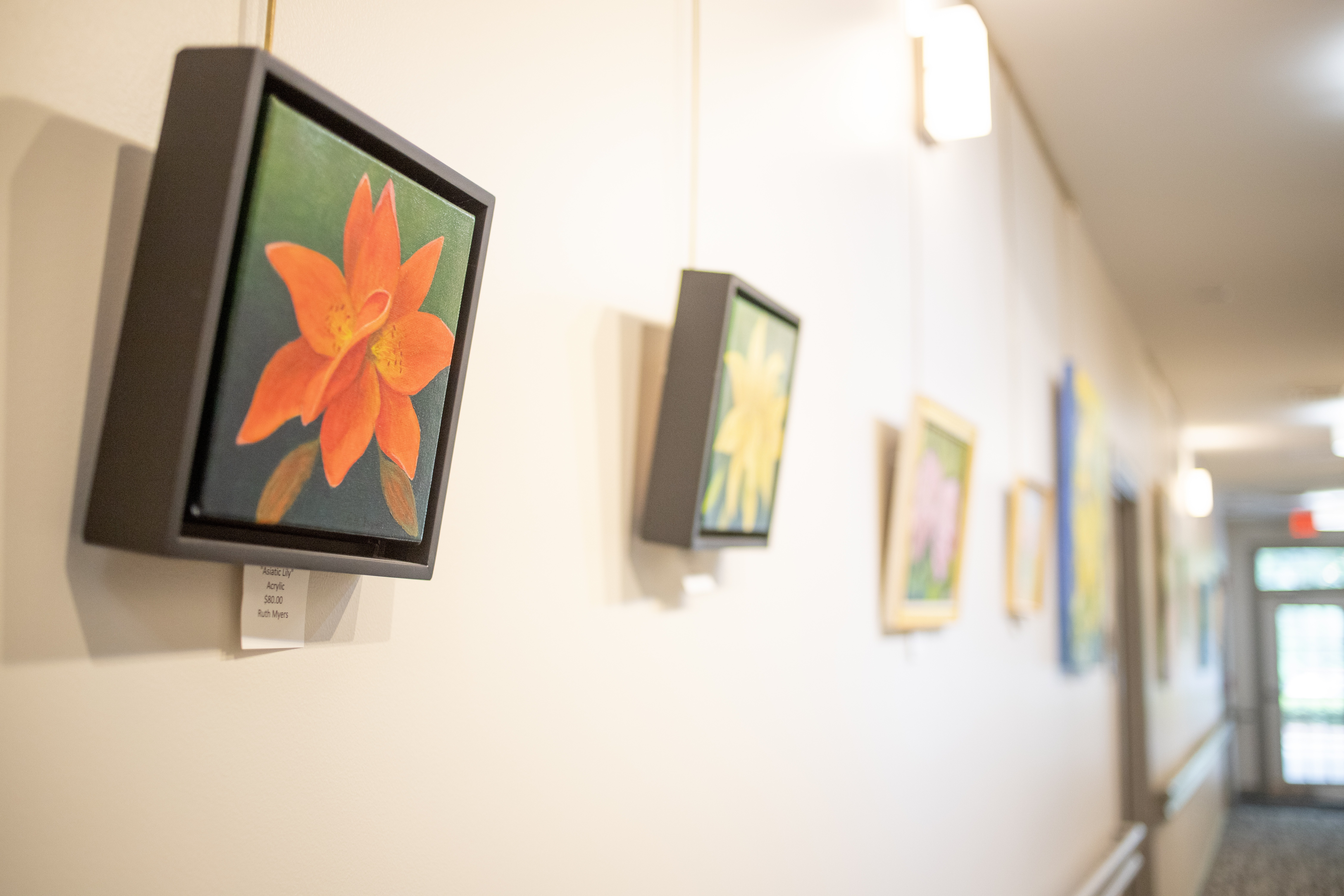 A wall with paintings on it.at Spring Arbor of Wilson, North Carolina, 27893-2873