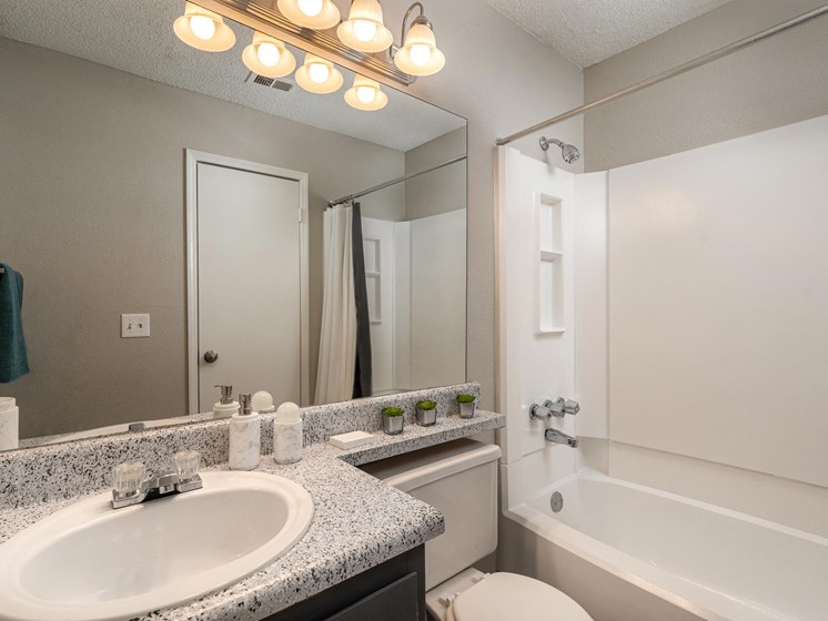 Bathroom interior at 300 Riverside Apartments, Austelll, Georgia