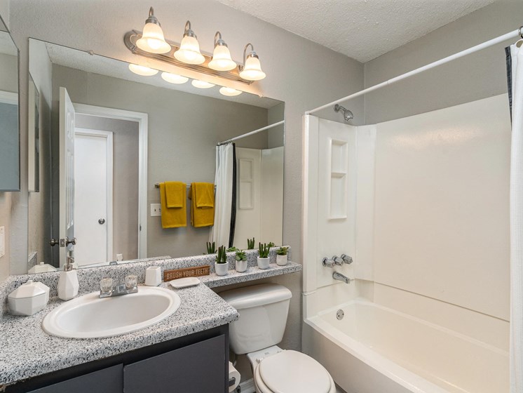 Bathroomat 300 Riverside Apartments, Austelll, GA, 30168