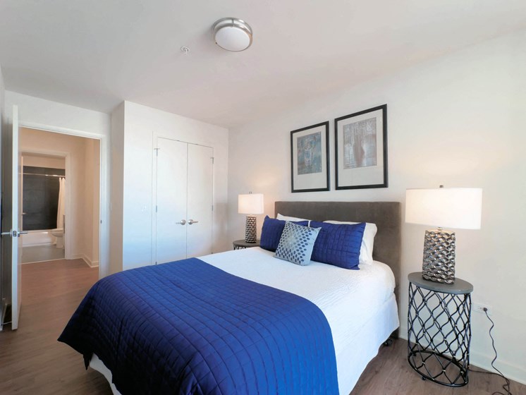apt 1004 bedroom-1BR apartments downtown Chicago, IL 60654