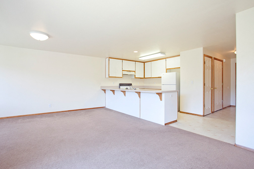 Photos and Video of Chapel Creek in Junction City, OR