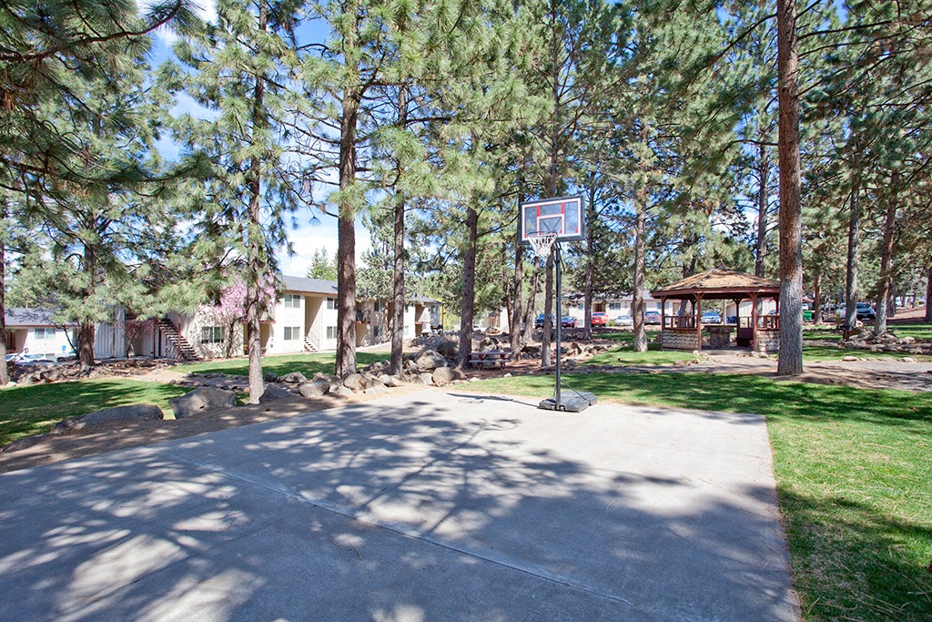 park setting