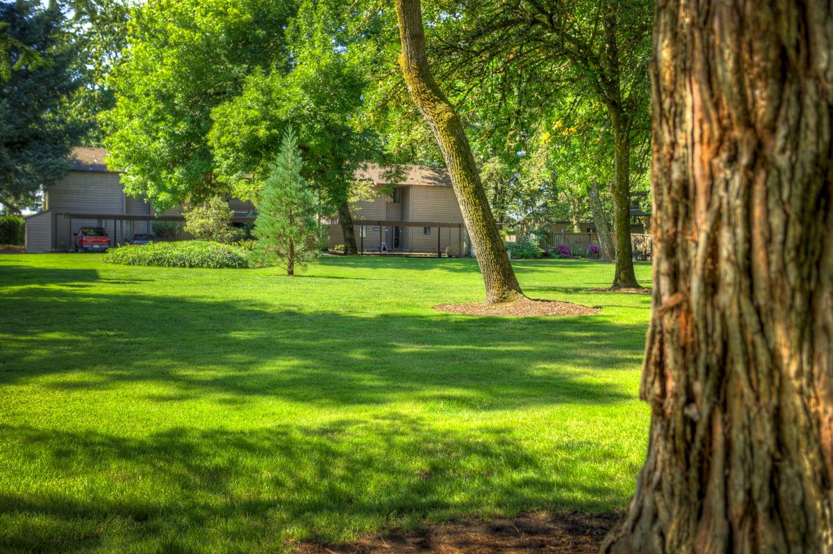 Large Common Area