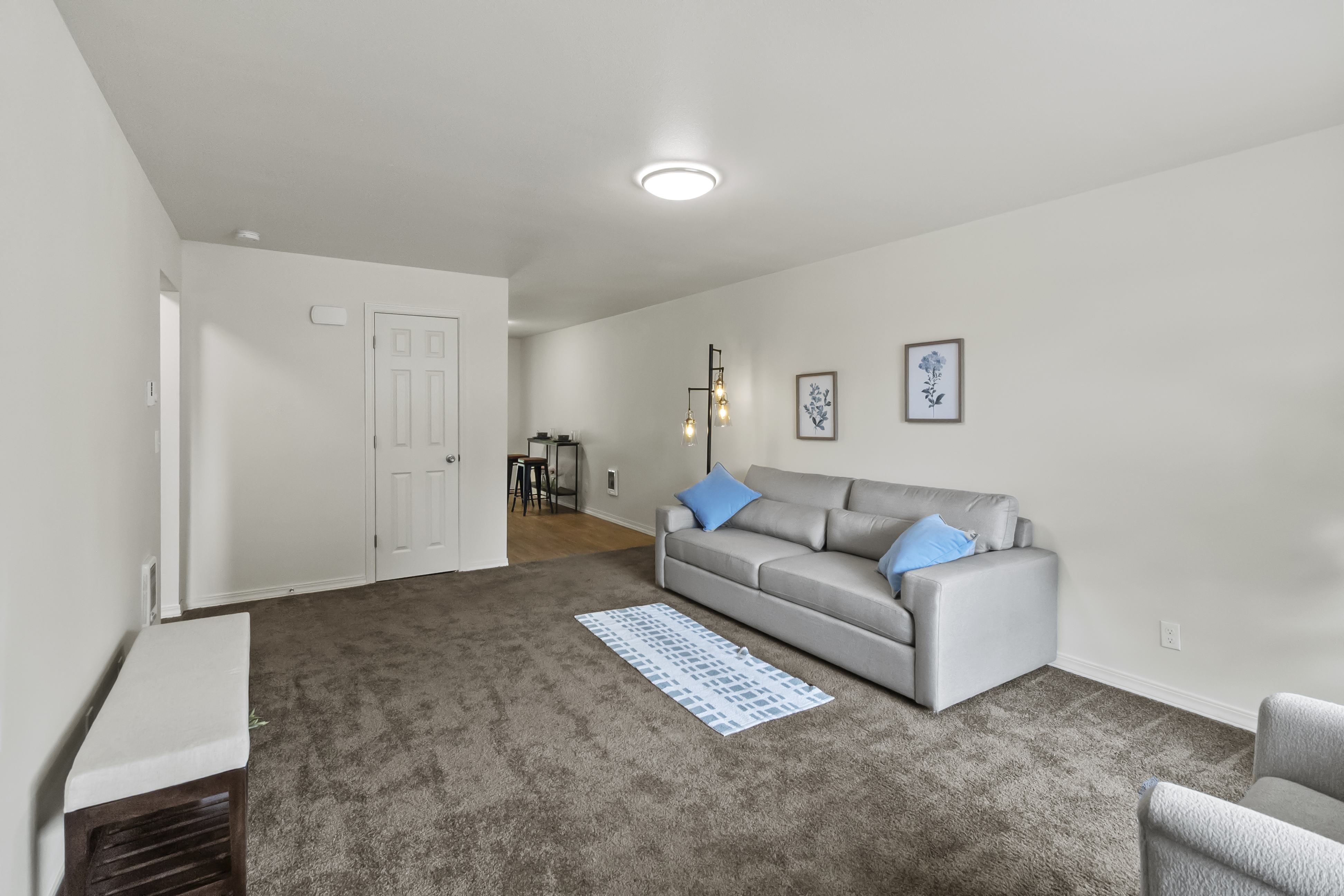 Large Living room