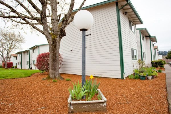 Mature Landscaping