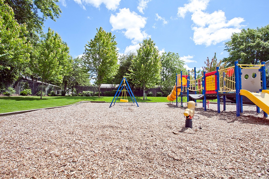 Play Ground