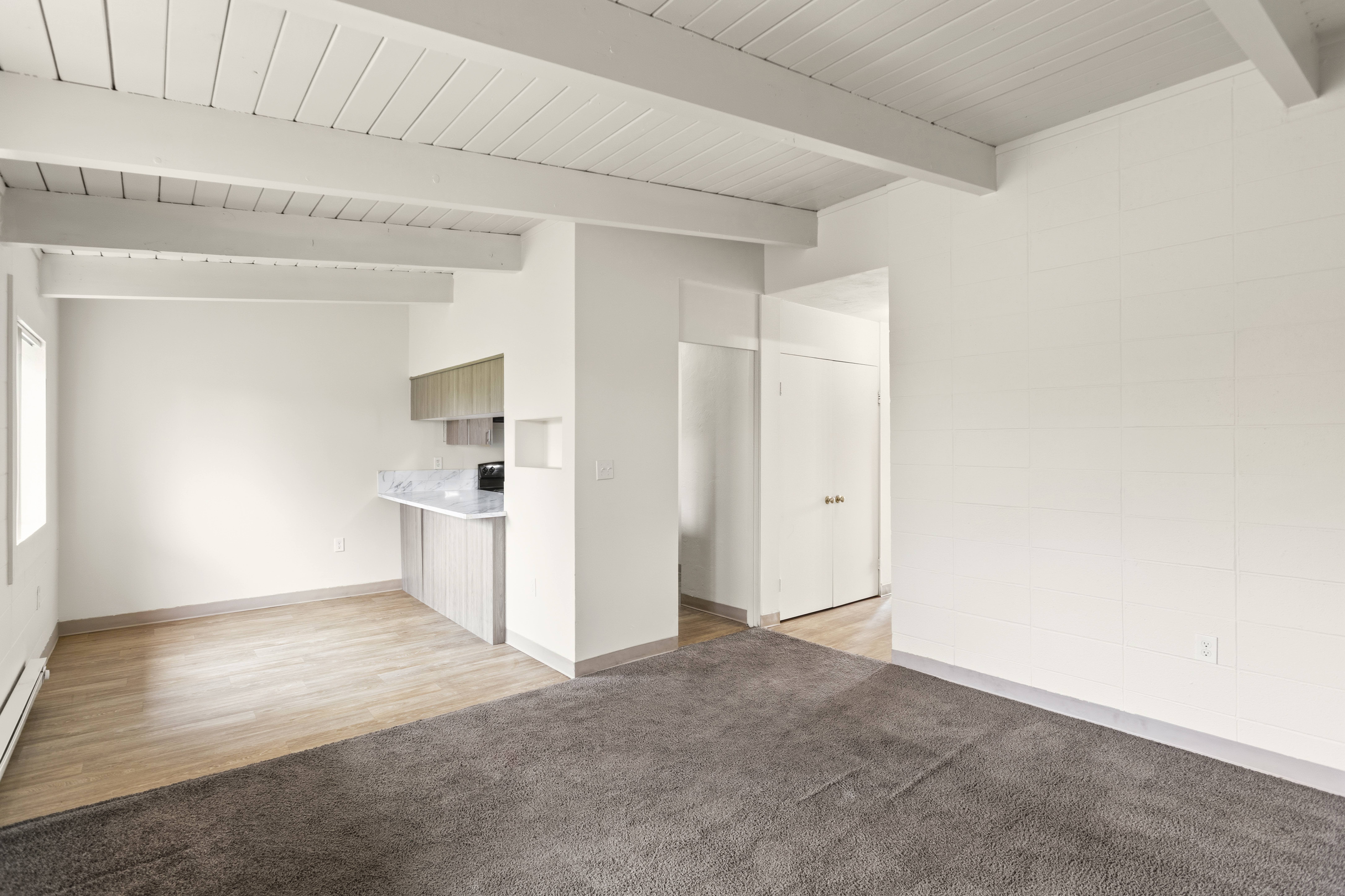 VAULTED CEILING