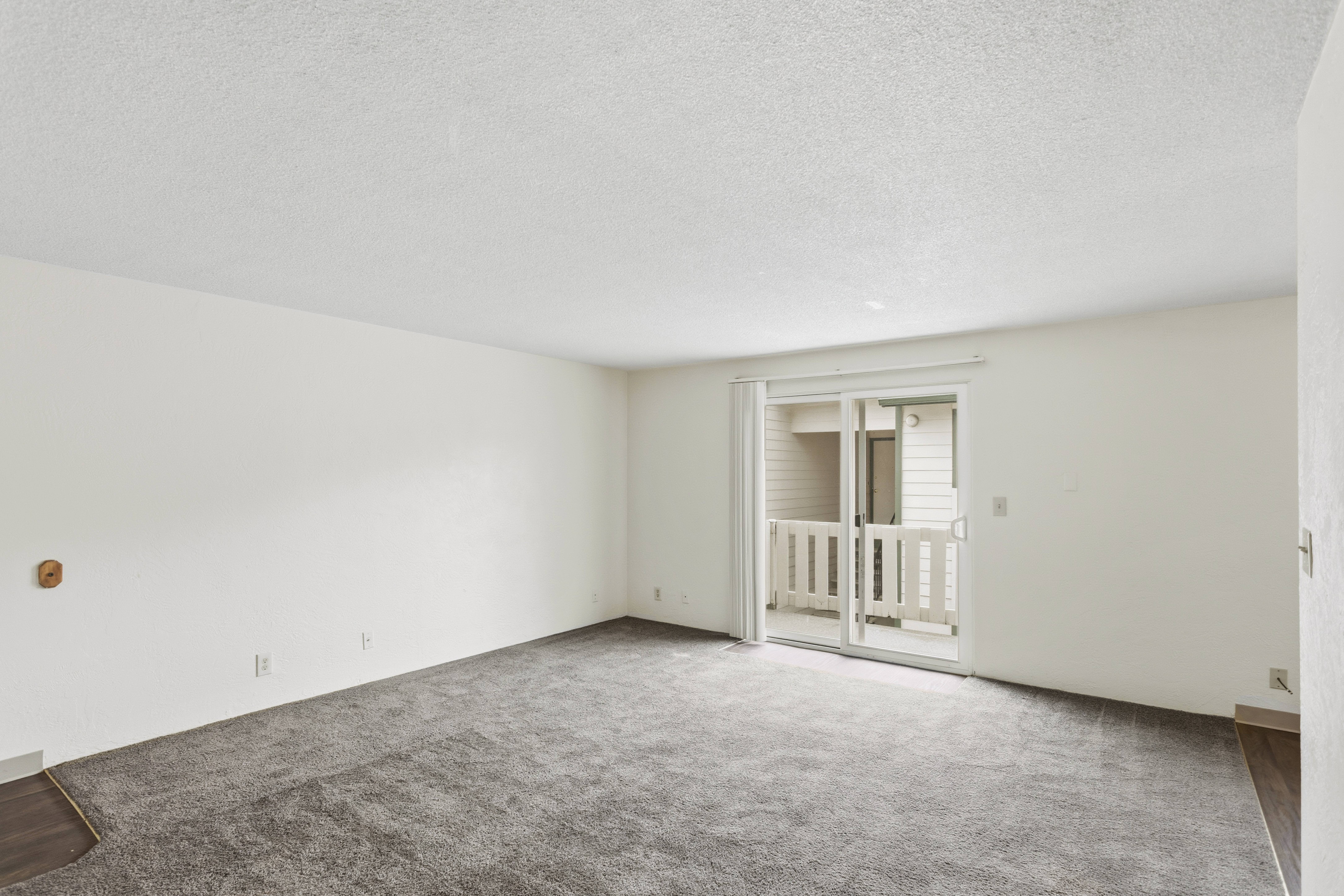 Spacious Living Room