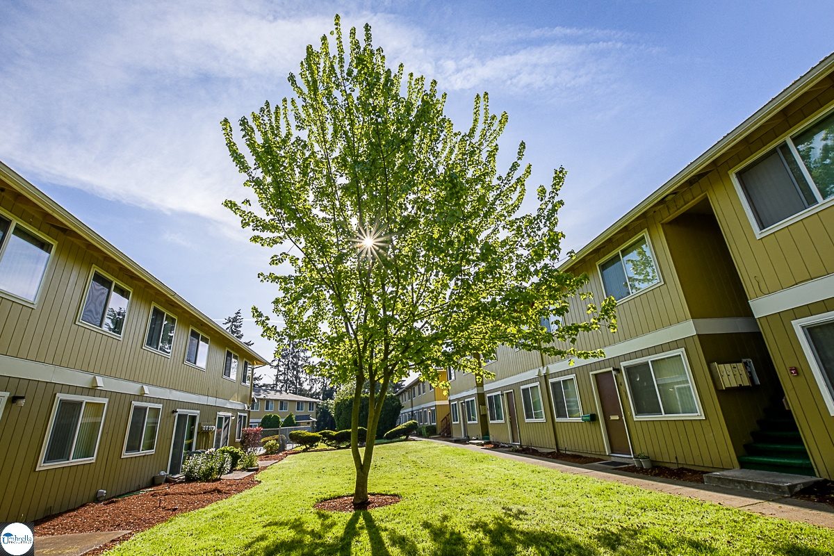 Mature Landscaping