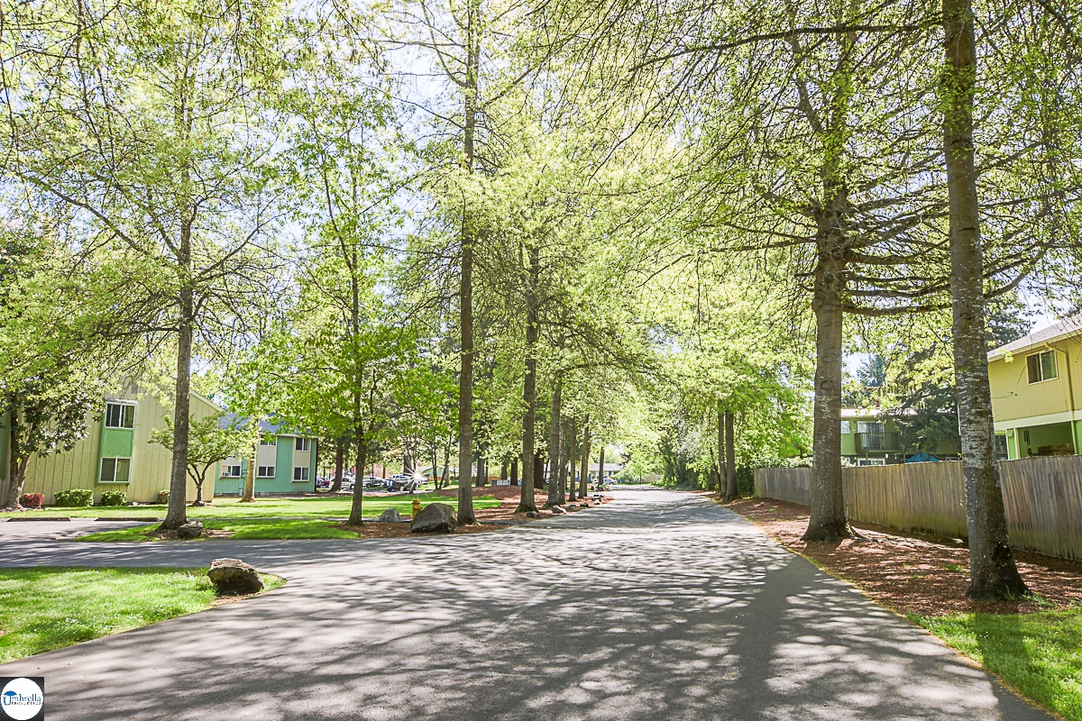 Apartments for rent