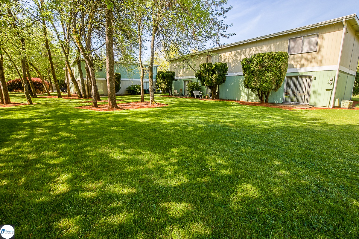Apartments for rent