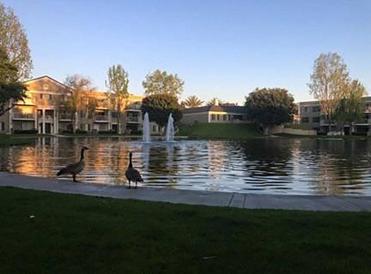 Versailles on the Lake Apartments Lake View