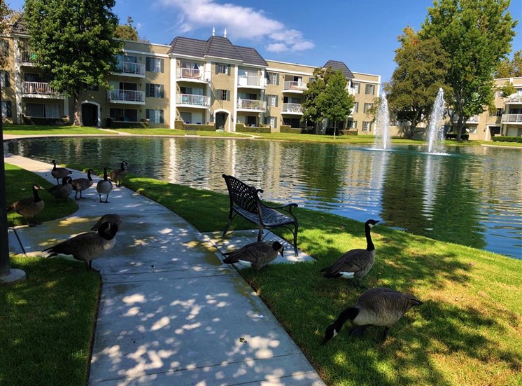 Versailles on the Lake Apartments Lake View