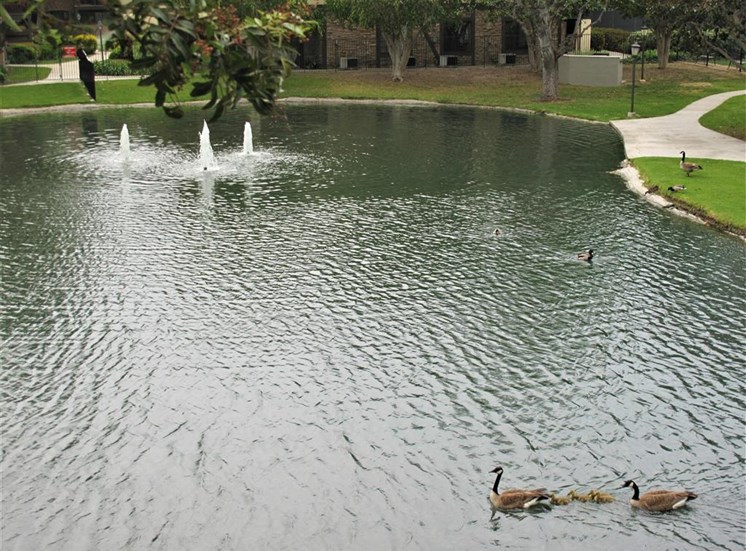 Versailles on the Lake Apartments Lake View