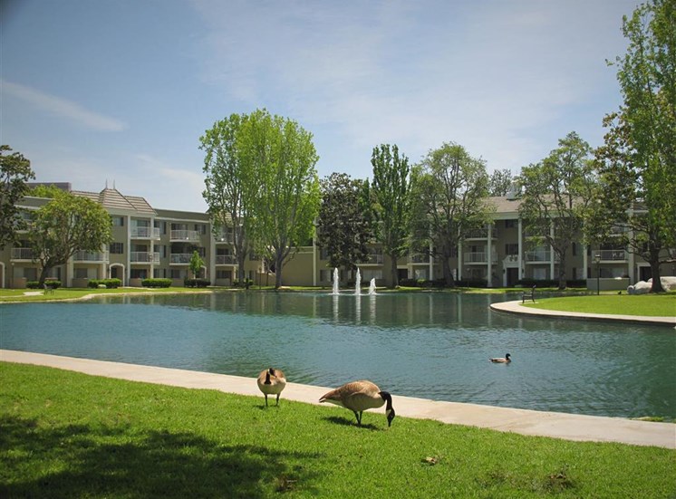 Versailles on the Lake Apartments Lake View
