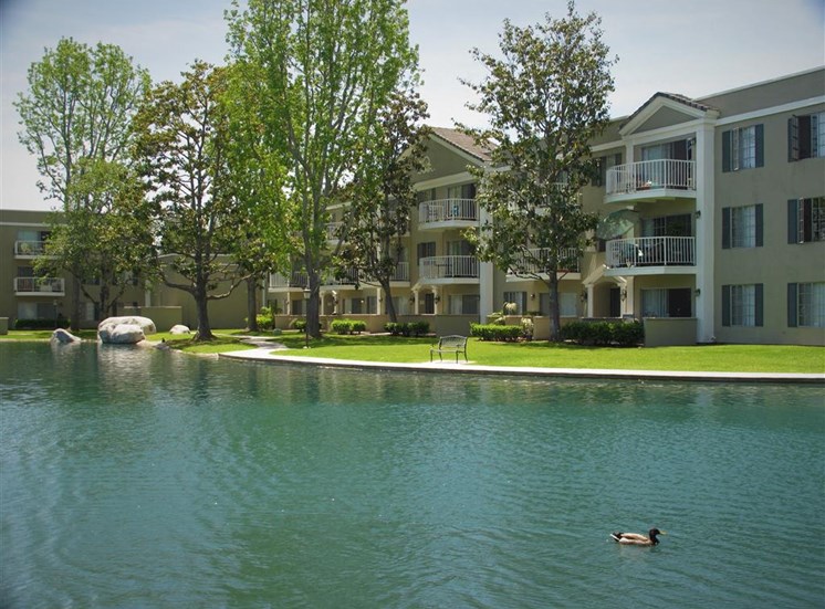 Versailles on the Lake Apartments Lake View
