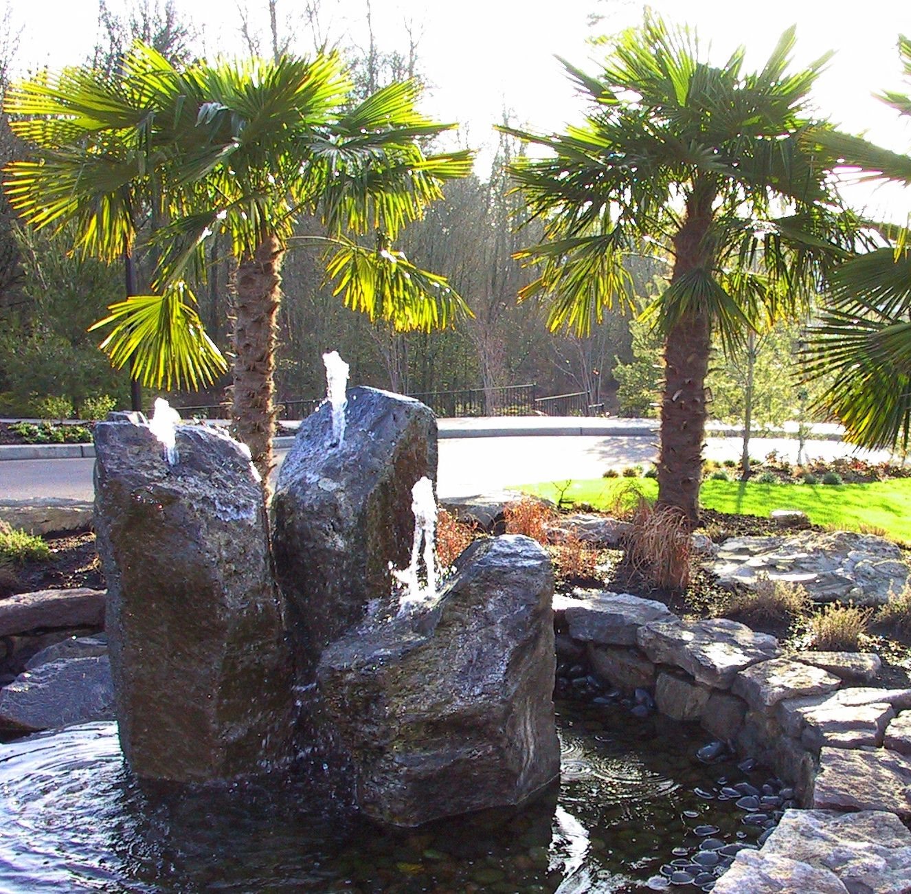 Photos and Video of Wilsonville Summit Apartments in Wilsonville, OR