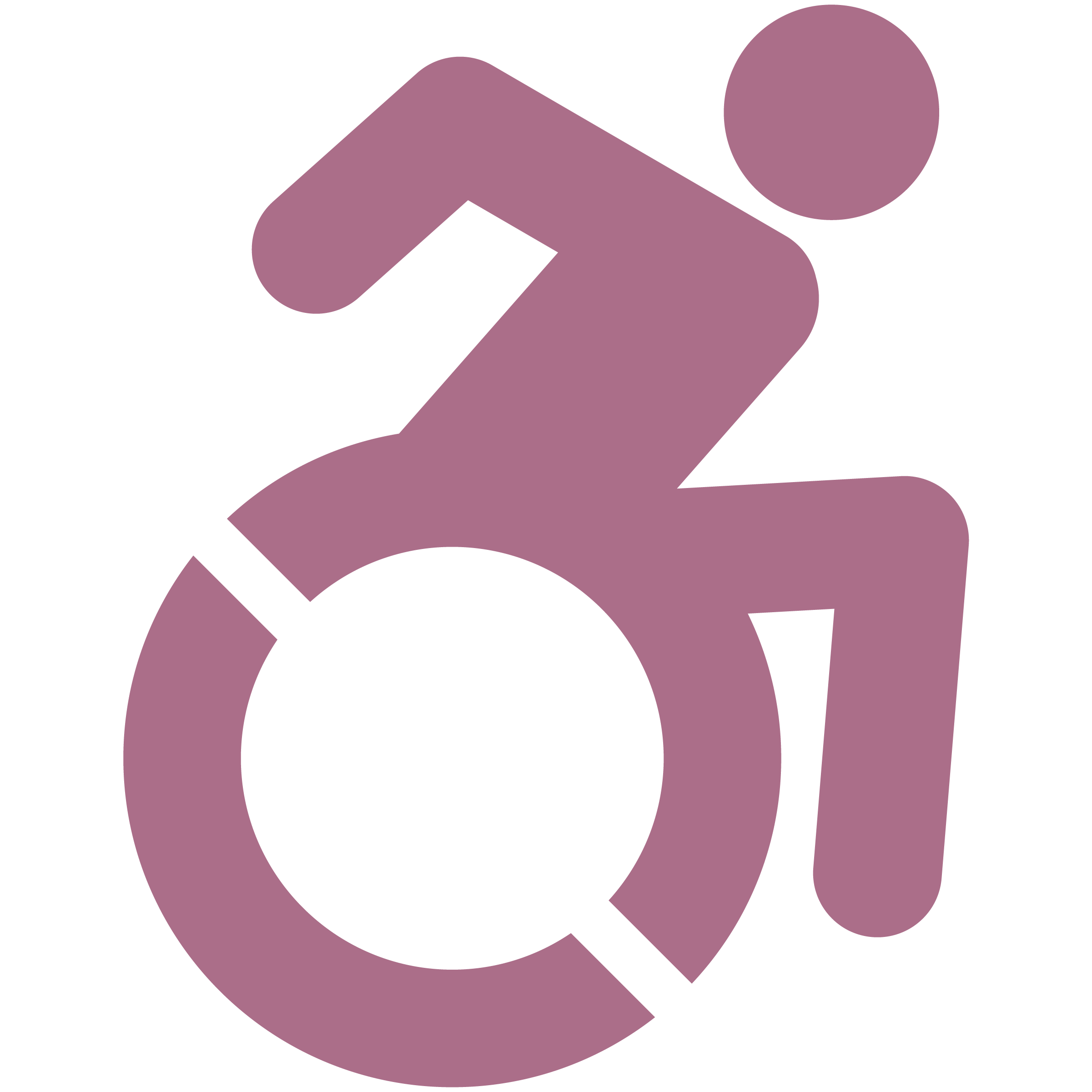 handicapable