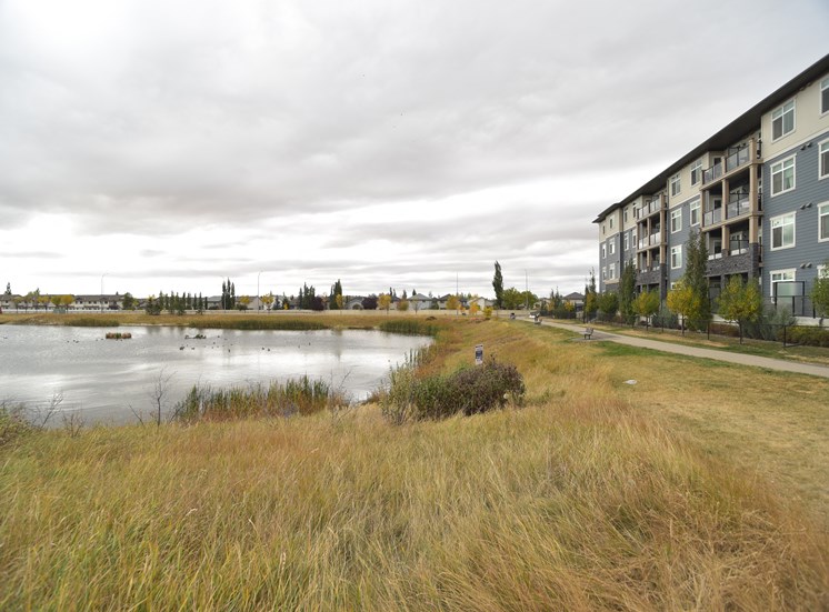 Aqua residential rental apartments scenic pond and pathway