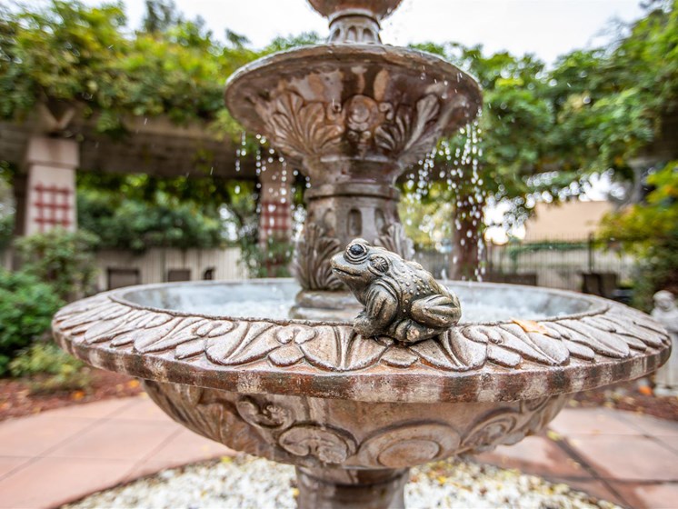 Fountain at Cogir of Stock Ranch, Citrus Heights