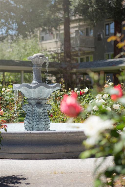 Beautiful Fountain at Cogir of Rohnert Park, California
