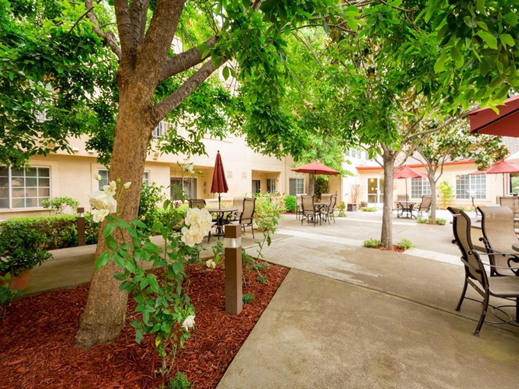 Courtyard Patio With Ample Sitting at Cogir of North Bay, Vallejo, 94589