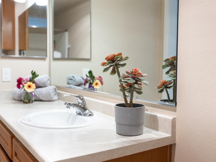Bathroom indoor plants at Cogir of Queen Anne, Seattle, Washington