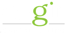Cogir Management USA Logo 1