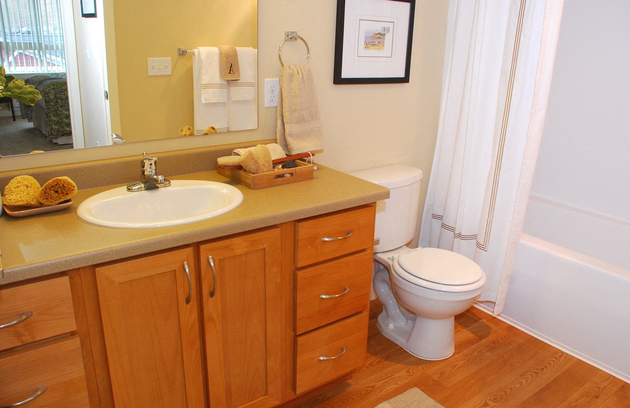Gallery Photo 31