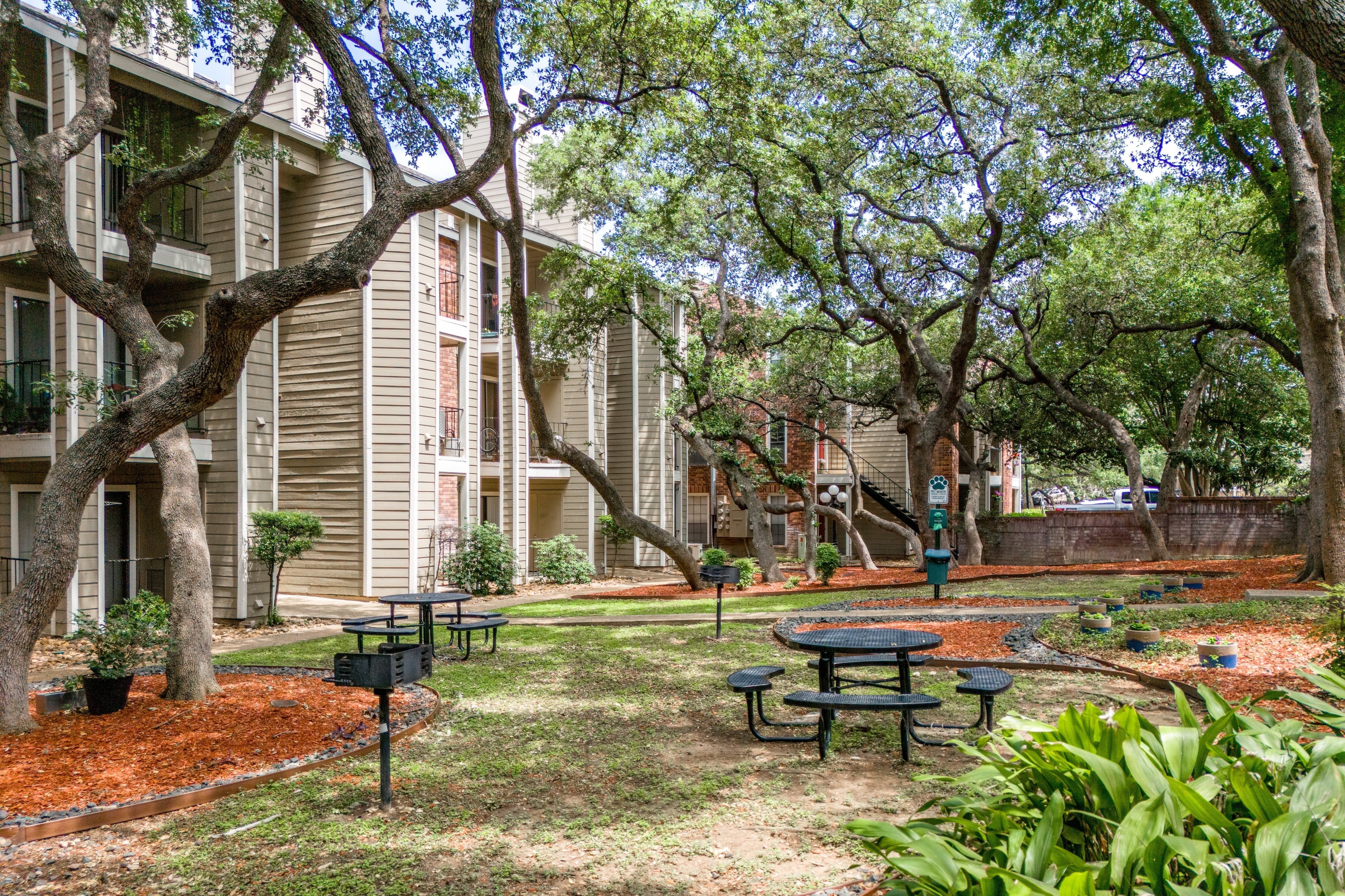 A tree-filled courtyard with a picnic table in the middle.