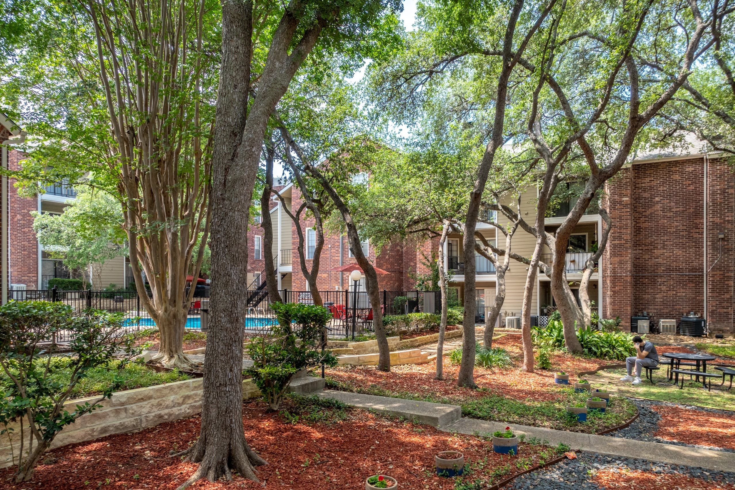 A tree in a yard with a person sitting on a bench.