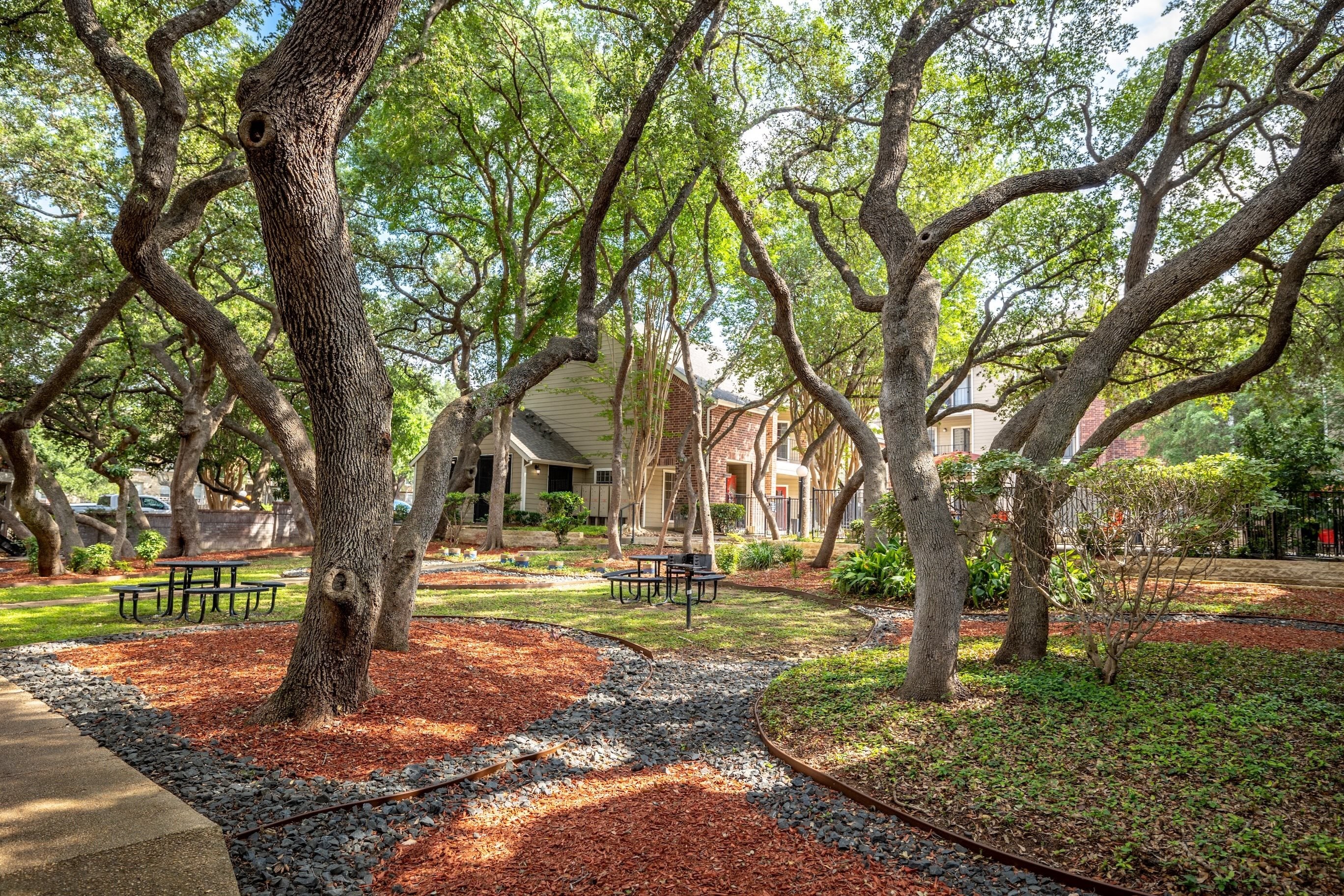 A tree-lined courtyard with a bench and a building in the background.