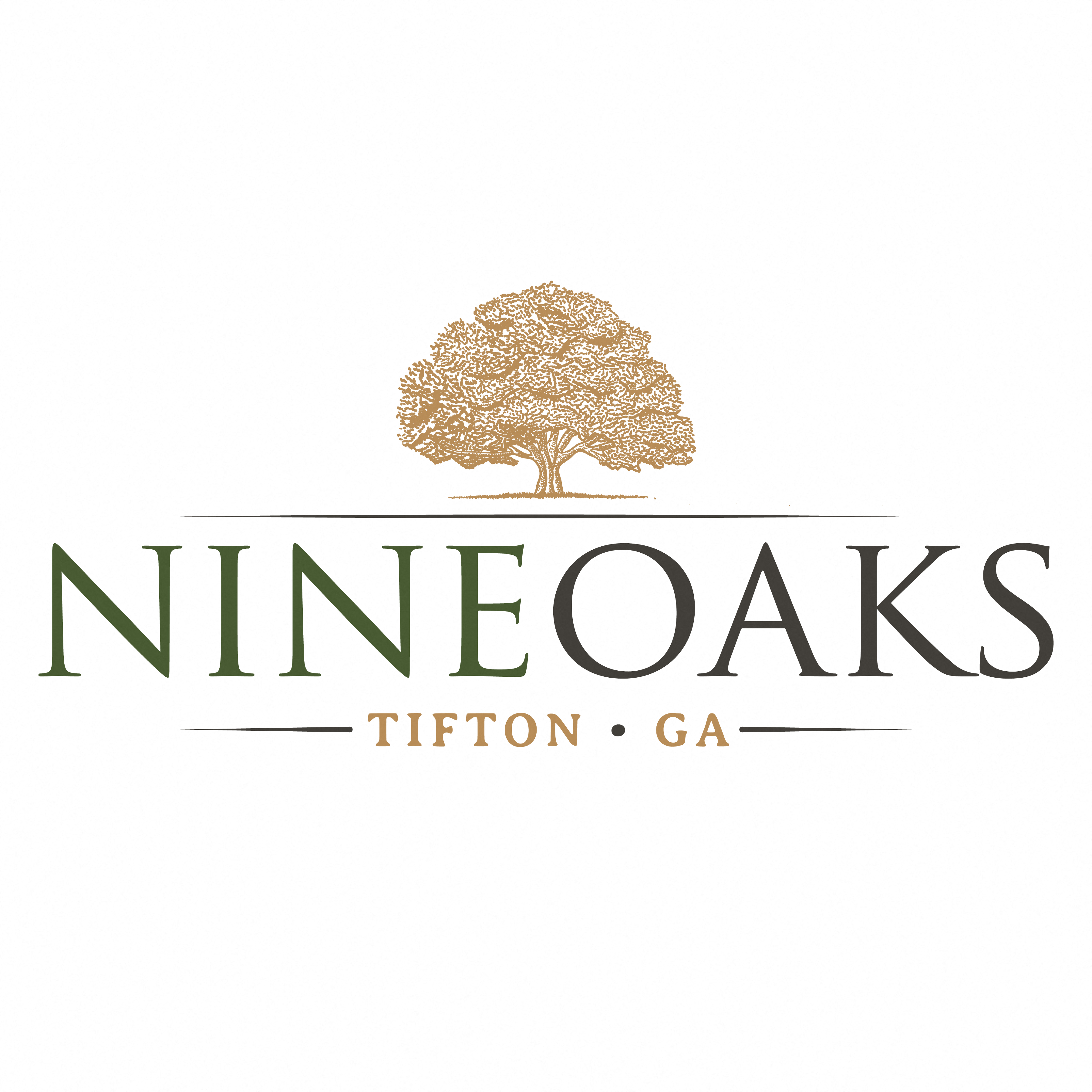 Nine Oaks Apartments in Tifton GA