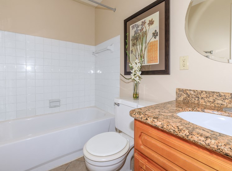 full bathroom with tub and shower combo