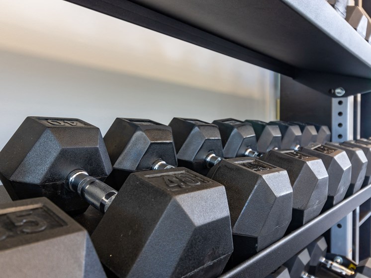 Free Weights at Heritage Apartments, Columbus