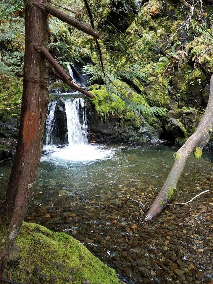 Gateway Property Management Apartments in Shelton, WA RENTCafe