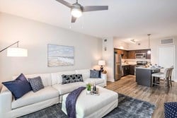 Image for 415 E. Pine Street - Paramount on Lake Eola