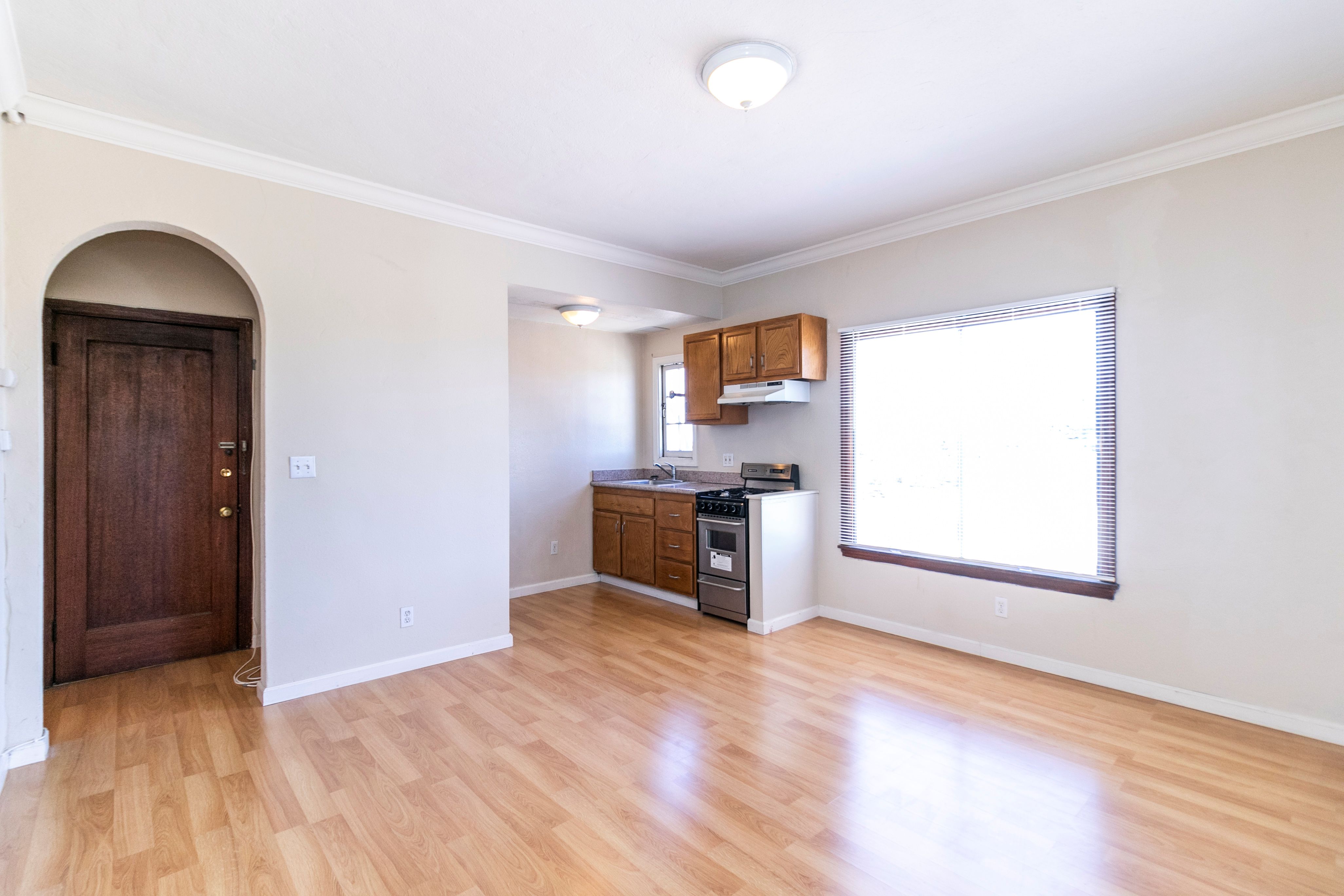 A room with a wooden floor and a brown door.