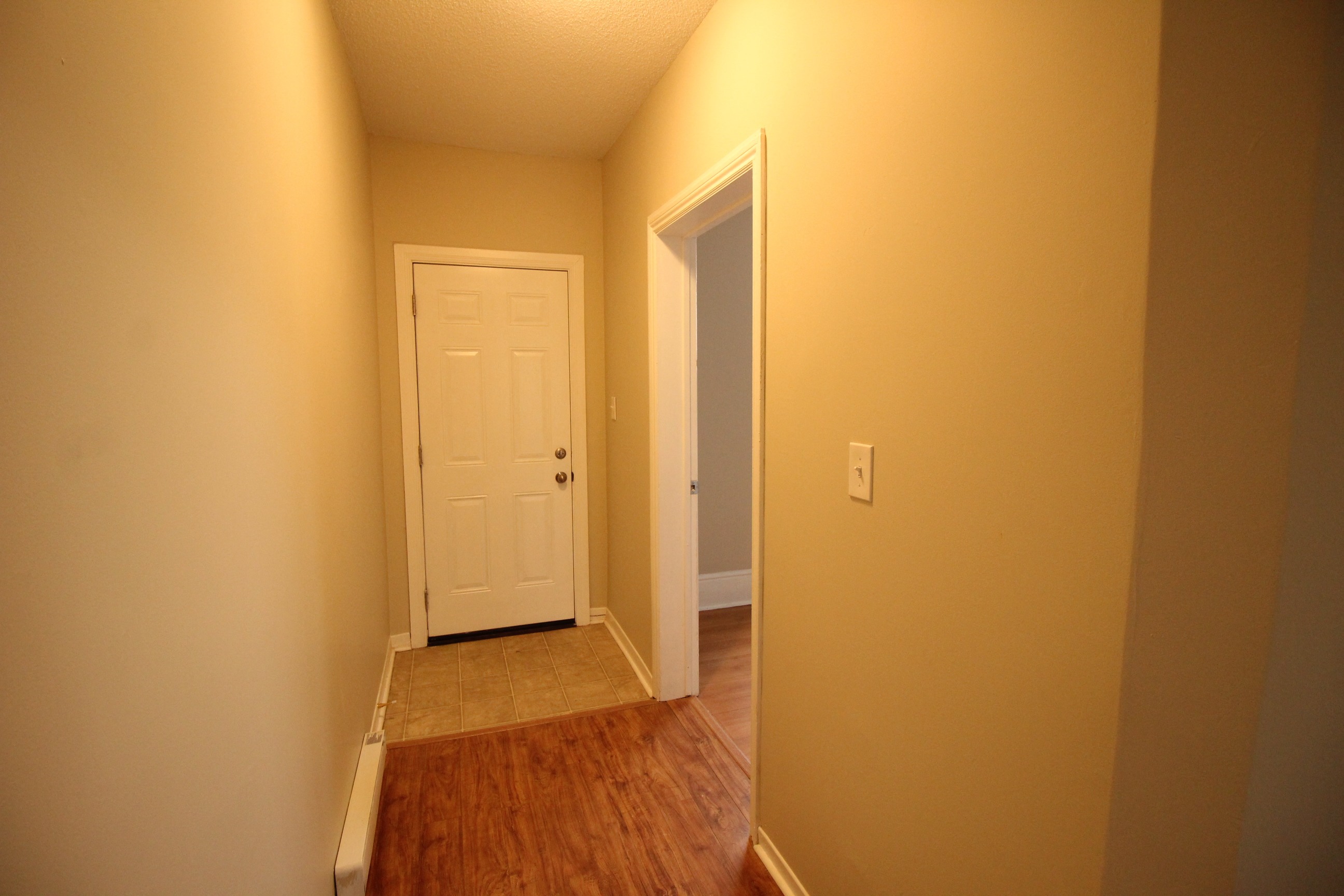 Gallery Photo 13