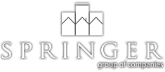 Springer Group Logo 1