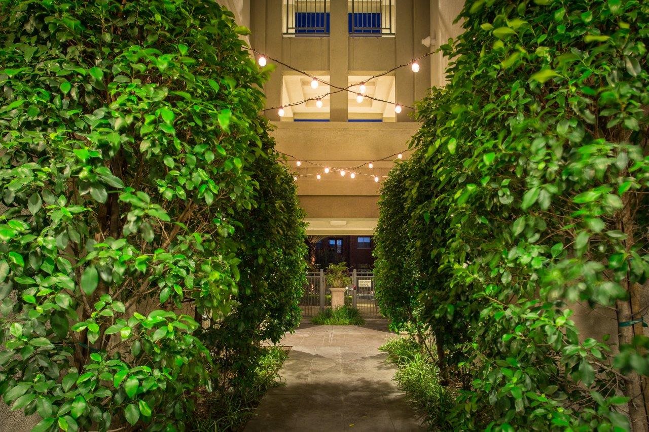 a courtyard with two rows of green hedges