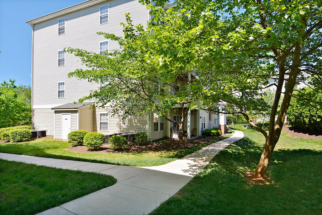A tree in front of a building with a walkway in between.